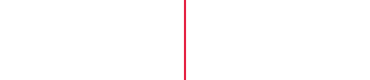 Vertucal Red Line